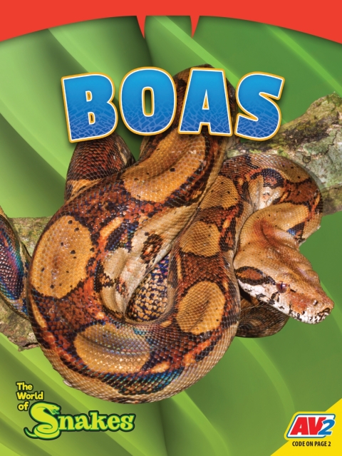 Cover image for book Boas