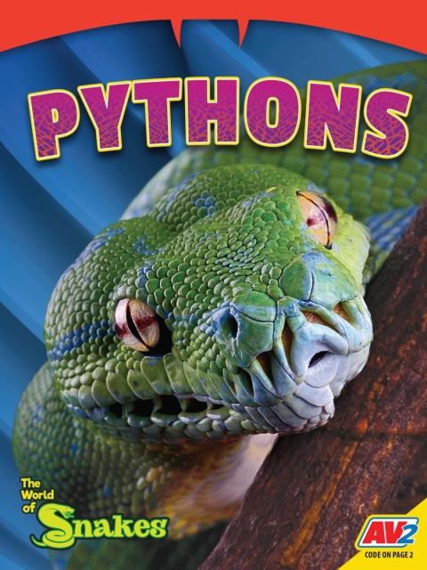 Cover image for book Pythons