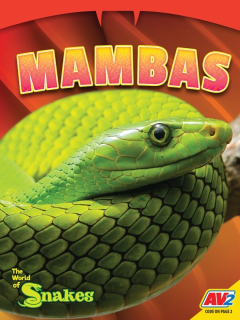 Cover image for book Mambas