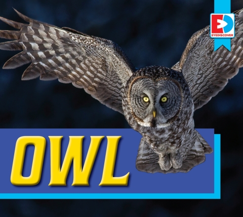 Cover image for book Owl