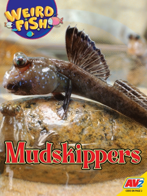 Cover image for book Mudskippers