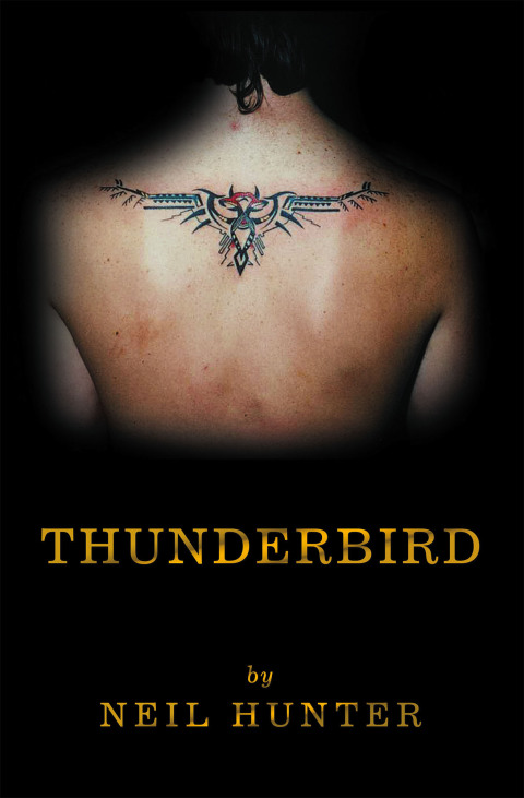 Cover image for book Thunderbird