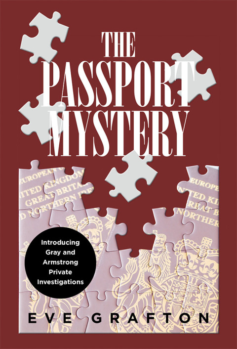 Cover image for book The Passport Mystery