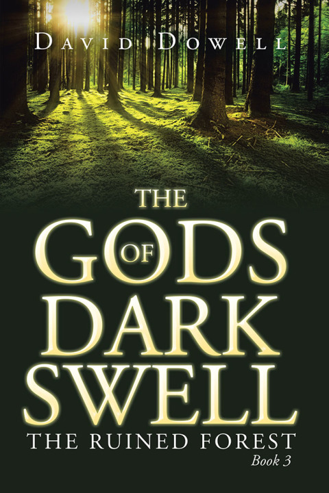 Cover image for book The Gods of Dark Swell
