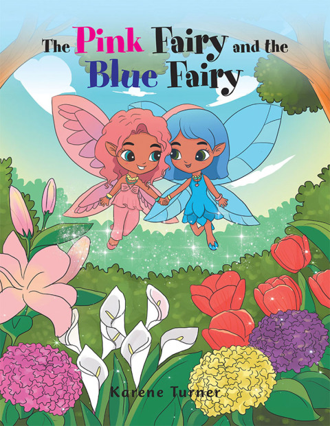 Cover image for book The Pink Fairy and the Blue Fairy