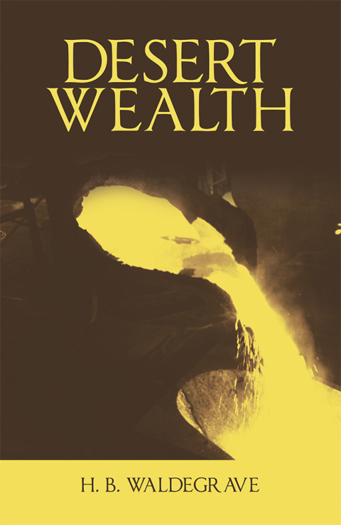 Cover image for book Desert Wealth