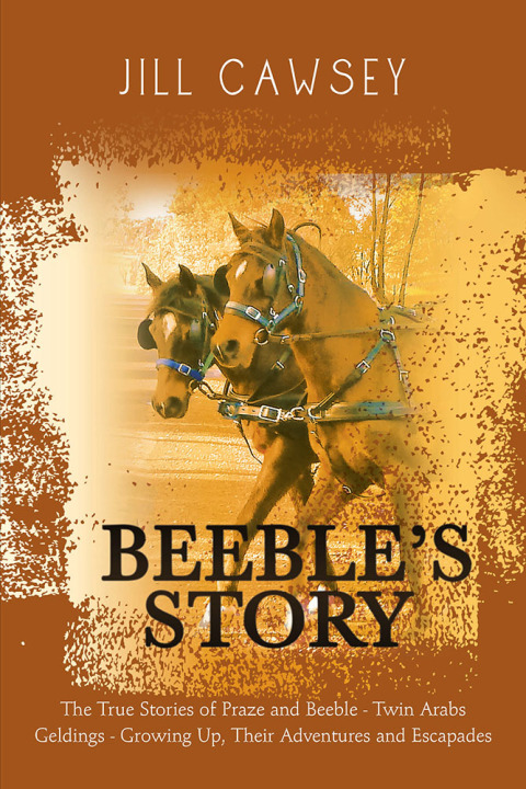 Cover image for book Beeble’s Story