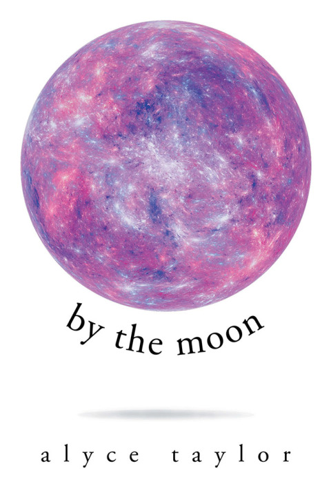 Cover image for book By the Moon