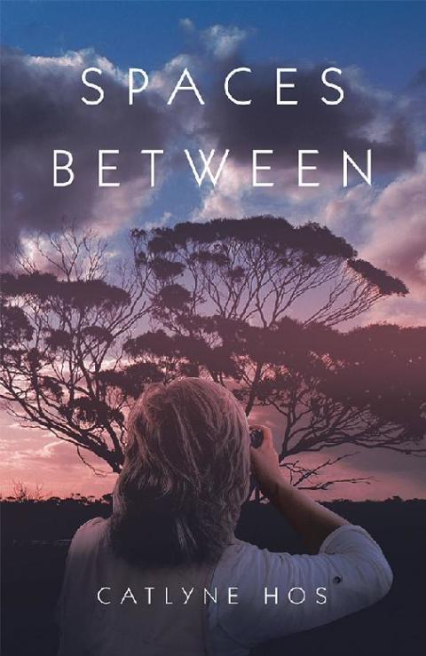 Cover image for book Spaces Between
