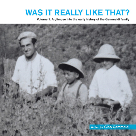 Cover image for book Was It Really Like That?