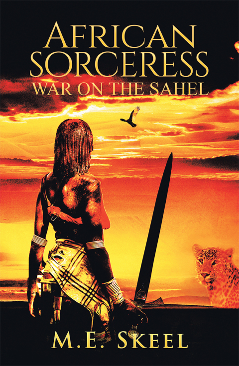 Cover image for book African Sorceress