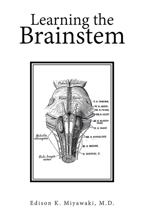Cover image for book Learning the Brainstem