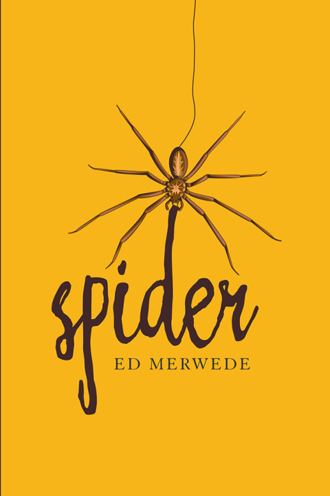 Cover image for book Spider