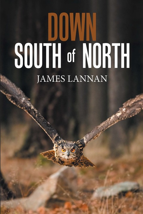 Cover image for book Down South of North