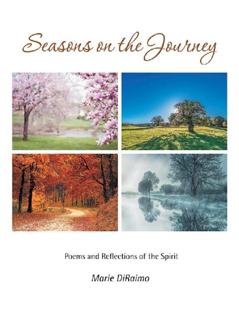 Cover image for book Seasons on the Journey