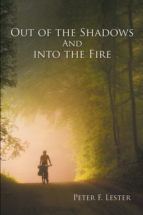 Cover image for book Out of the Shadows and into the Fire