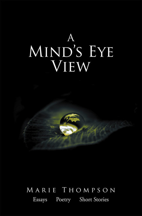Cover image for book A Mind’s Eye View
