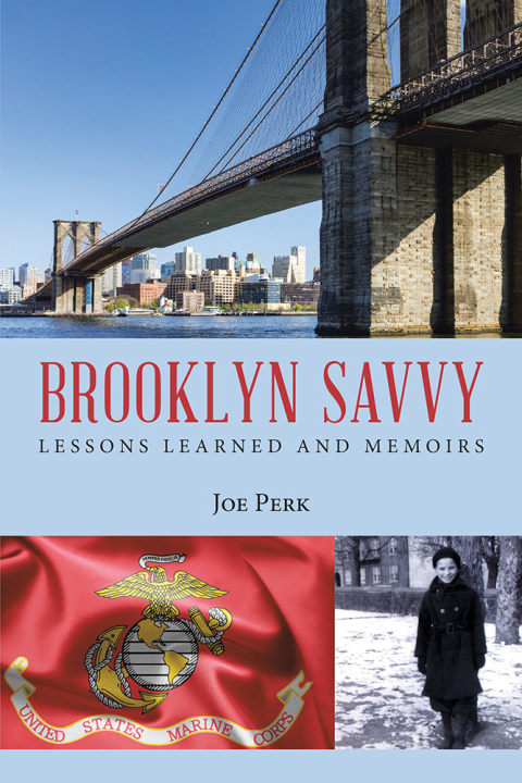 Cover image for book Brooklyn Savvy