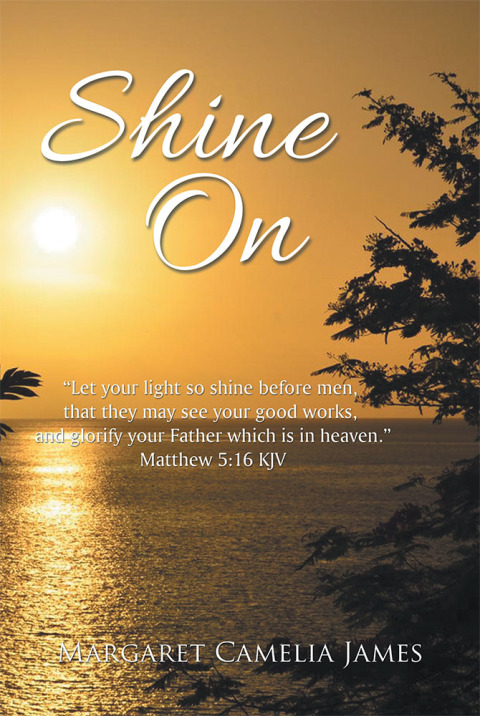 Cover image for book Shine On