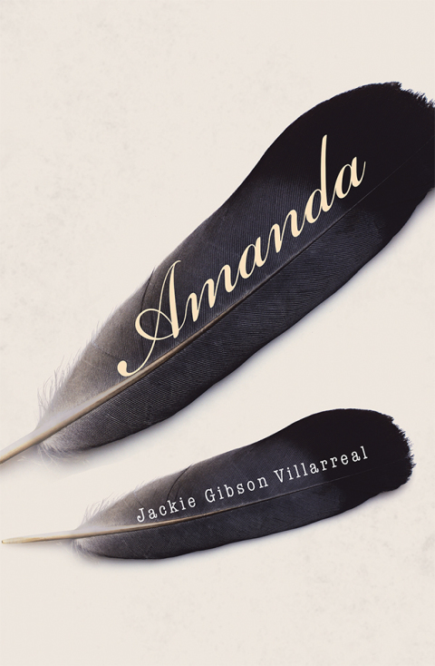 Cover image for book Amanda
