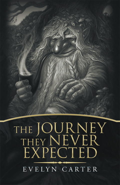 Cover image for book The Journey They Never Expected