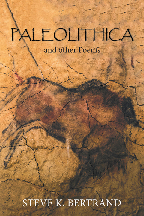Cover image for book Paleolithica
