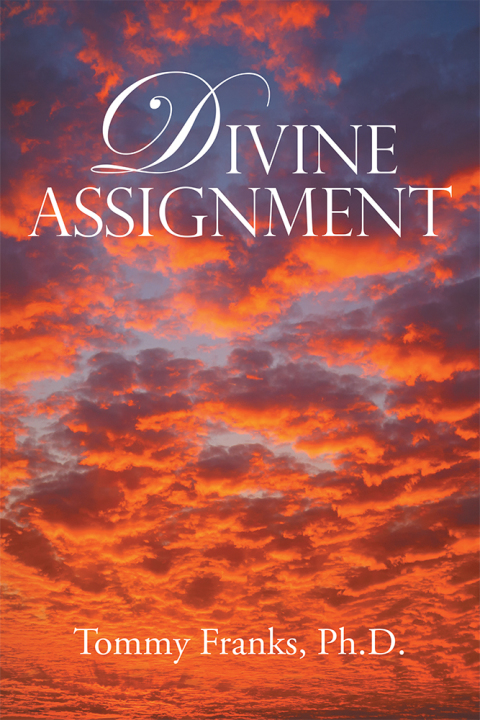 Cover image for book Divine Assignment