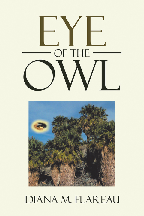 Cover image for book Eye of the Owl