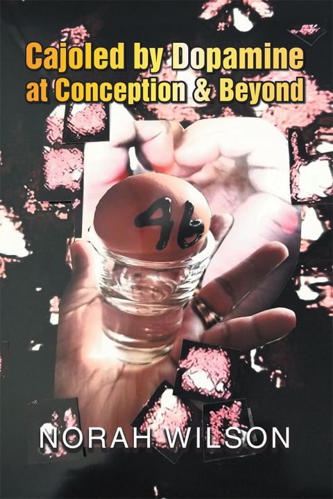 Cover image for book Cajoled by Dopamine at Conception & Beyond