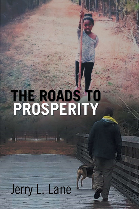 Cover image for book The Road to Prosperity