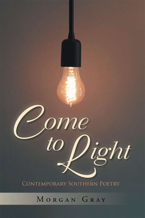 Cover image for book Come to Light