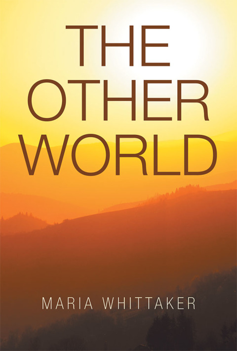 Cover image for book The Other World