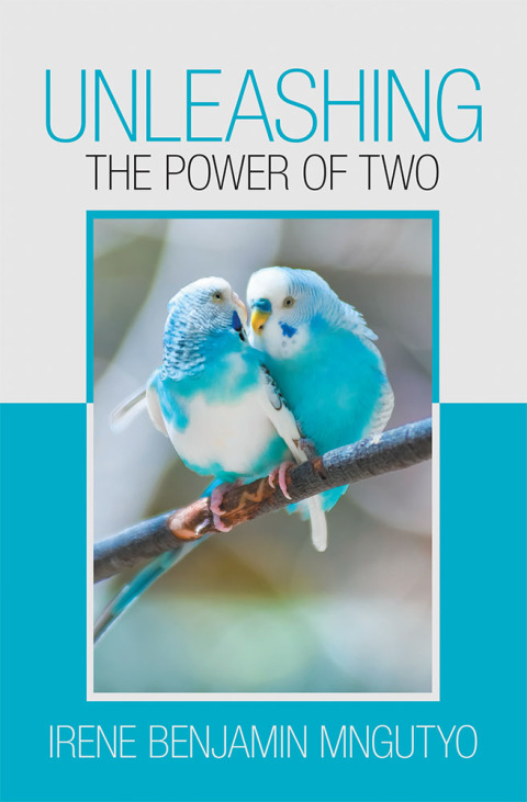 Cover image for book Unleashing the Power of Two