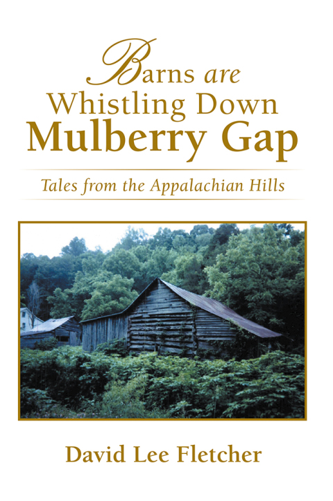 Cover image for book Barns Are Whistling Down Mulberry Gap