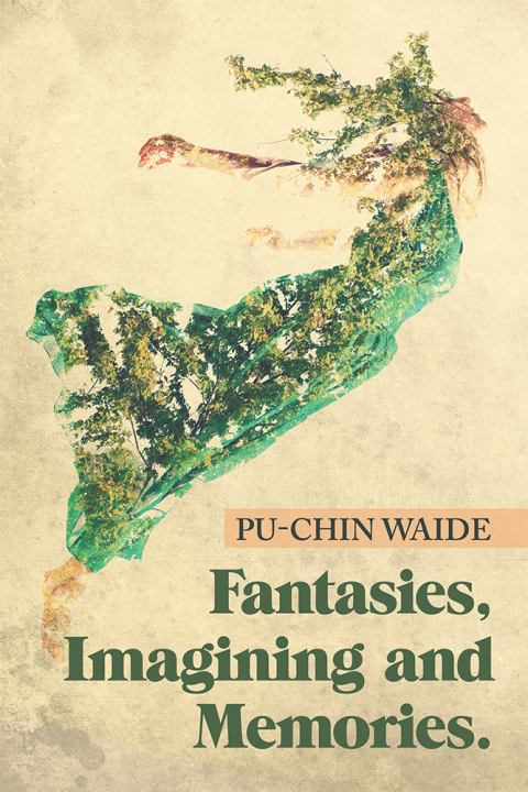 Cover image for book Fantasies, Imagining and Memories.