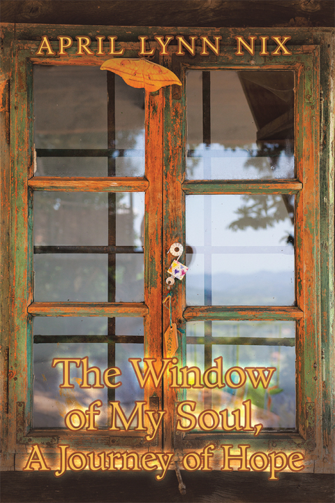 Cover image for book The Window of My Soul, a Journey of Hope