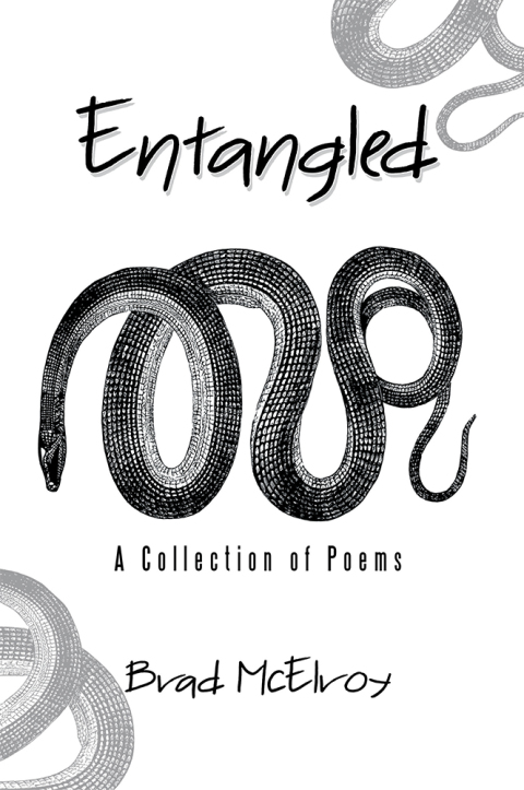Cover image for book Entangled