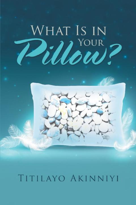 Cover image for book What Is in Your Pillow?