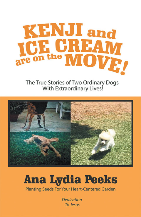 Cover image for book Kenji and Ice Cream Are on the Move!