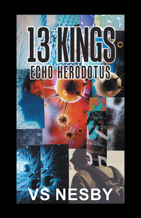 Cover image for book 13 Kings