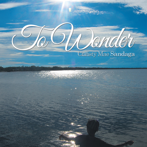 Cover image for book To Wonder