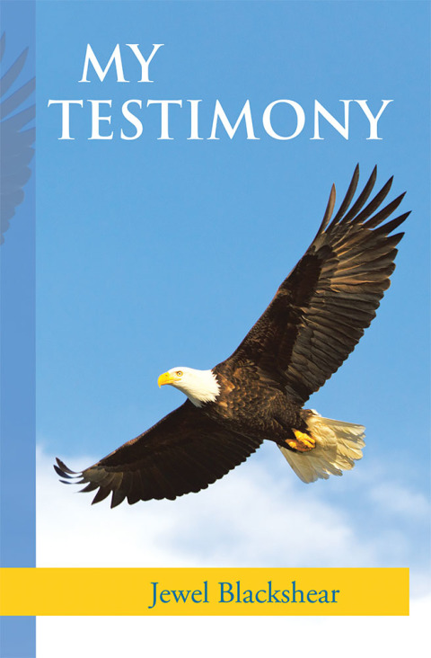 Cover image for book My Testimony