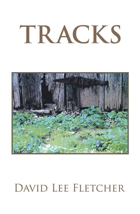 Cover image for book Tracks