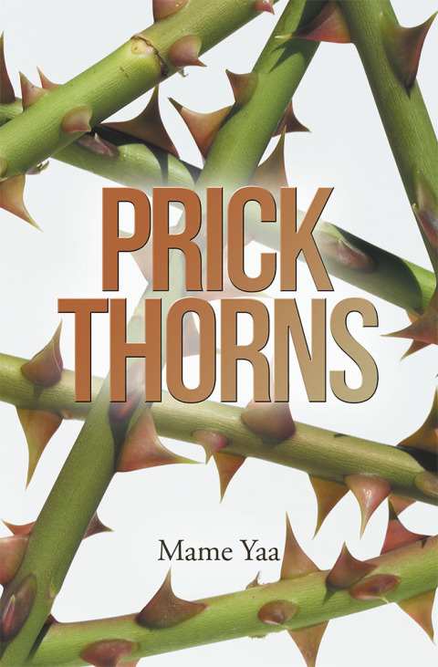 Cover image for book Prick Thorns