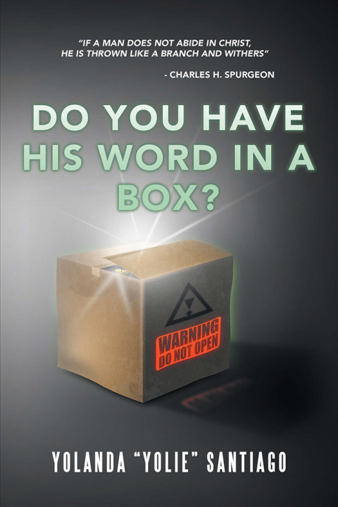 Cover image for book Do You Have His Word in a Box?