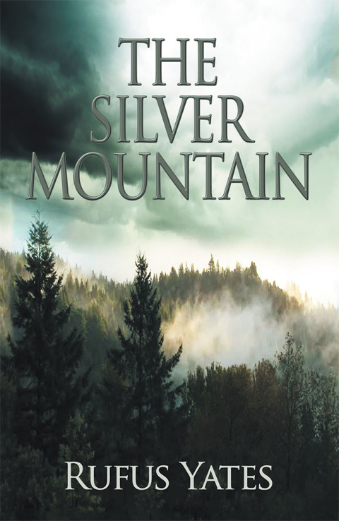 Cover image for book The Silver Mountain