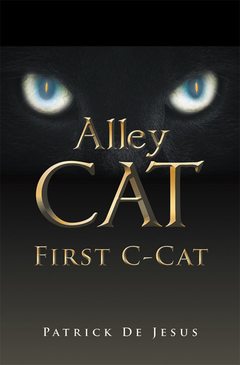 Cover image for book Alley Cat