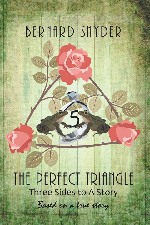 Cover image for book The Perfect Triangle