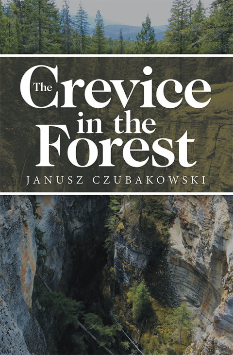 Cover image for book The Crevice in the Forest