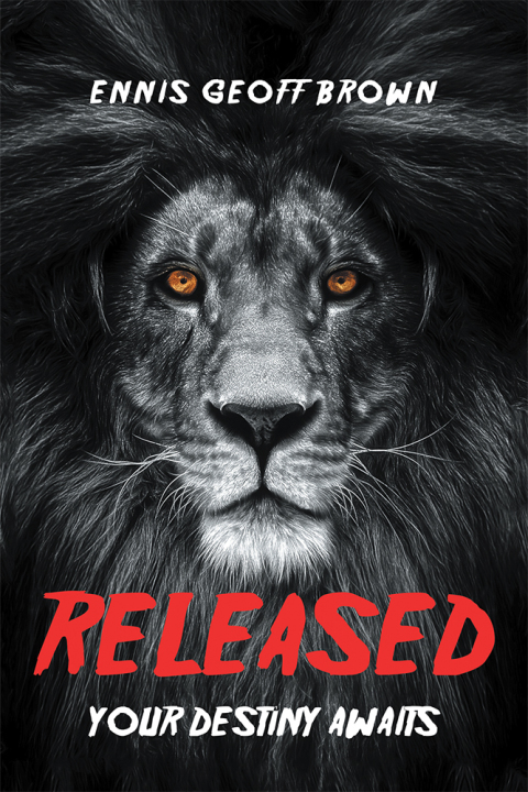 Cover image for book Released